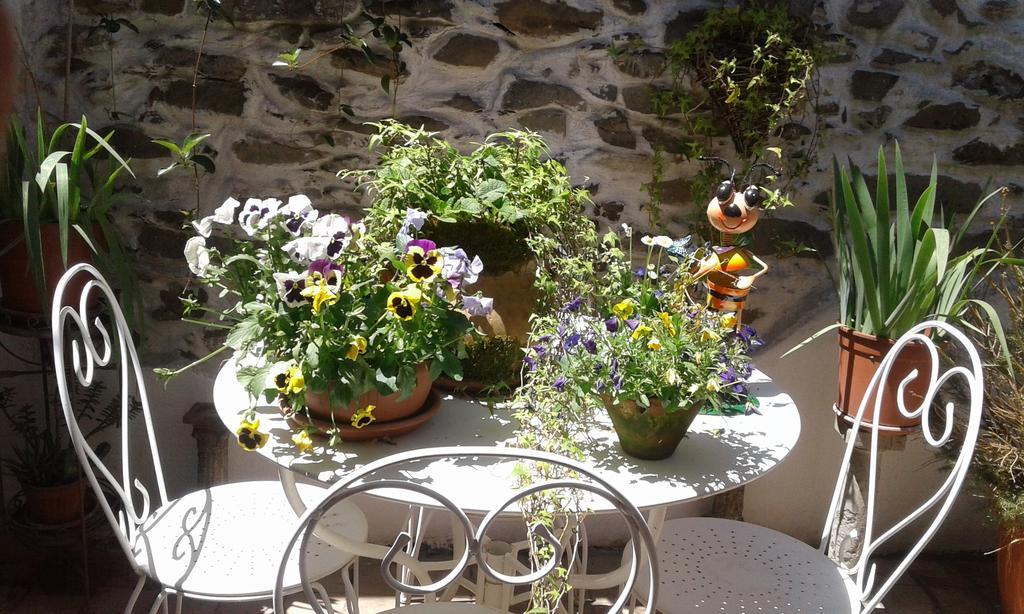 Casa Med Holiday Home Isolabona المظهر الخارجي الصورة